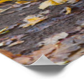 ドイツの霧の朝の公園ベンチ ポスター (角)