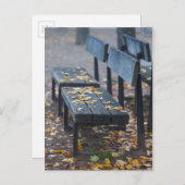 ドイツの霧の朝の公園ベンチ ポストカード (正面/裏面)