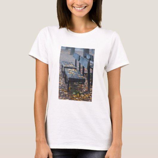 ドイツの霧の朝の公園ベンチ Tシャツ (正面)