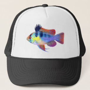 ドイツの青いラムのシクリッド キャップ