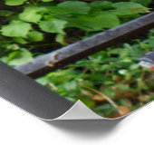 ドイツのErlangen Windowsと自転車 ポスター (角)