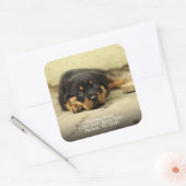 ドイツシェパードパピードドッグ差出人住所 スクエアシール (封筒)