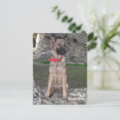 ドイツシェパード犬と城の廃墟訪問のポストカード ポストカード (スタンド正面)