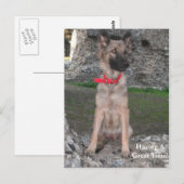 ドイツシェパード犬と城の廃墟訪問のポストカード ポストカード (正面/裏面)