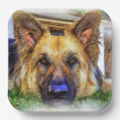 ドイツシェパード紙プレート ペーパープレート (正面)