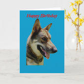 ドイツシェパード誕生日カード カード (黄色い花)