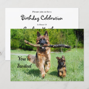 ドイツシェパード誕生日 招待状