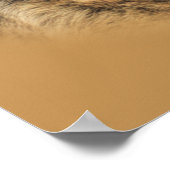 ドイツシェパード非常にハンサムなプリント ポスター (角)