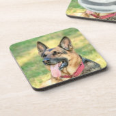 ドイツシェパード コースター (左側)