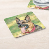ドイツシェパード スクエアペーパーコースター (アングル)
