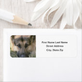 ドイツシェパード ラベル (インサイチュ)