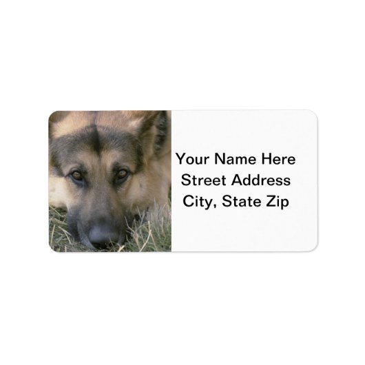 ドイツシェパード ラベル (正面)