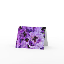 ドイツシャクナゲ