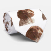 ドイツショートヘアの子犬 ネクタイ (ロール)