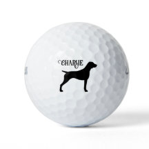 ドイツショートポインターシルエット名前をカスタムする