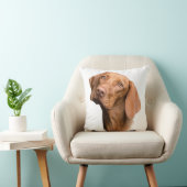 ドイツショートポインターブラウン犬 クッション (椅子)