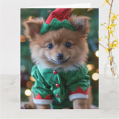 ドイツスピッツ小妖精や小人子犬クリスマスカード カード (黄色い花)