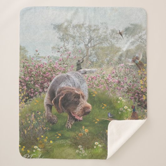 ドイツドラフター シェルパブランケット (正面)