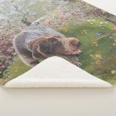 ドイツドラフター シェルパブランケット (3/4)