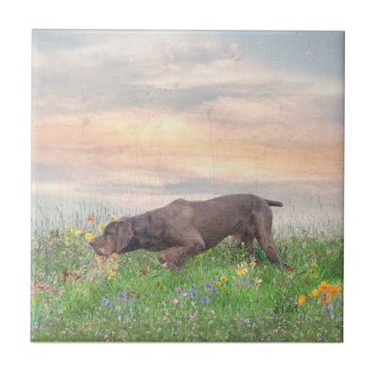 ドイツドラフター タイル (正面)