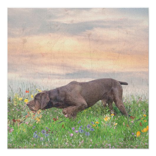 ドイツドラフター ポスター (正面)