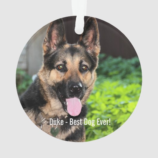ドイツパーソナライズされたの羊飼い犬の写真、犬の名前 オーナメント (裏面)