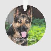 ドイツパーソナライズされたの羊飼い犬の写真、犬の名前 オーナメント (正面)