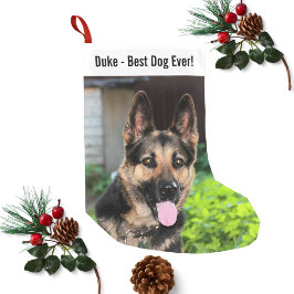 ドイツパーソナライズされたの羊飼い犬の写真、犬の名前 スモールクリスマスストッキング