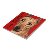 ドイツピンシャーカラーブロック タイル (側面)