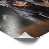 ドイツピンシャー フォトプリント            (角)