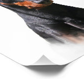 ドイツピンシャー フォトプリント            (角)