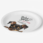 ドイツピンシャー ペーパープレート (アングル)