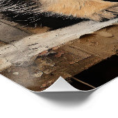 ドイツフレンドリーの羊飼い子犬001 - Raimon ポスター (コーナー)