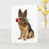 ドイツン・シェパードのバレンタイン カード (黄色い花)
