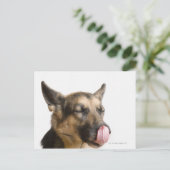 ドイツ人の羊飼いが鼻をなめる音を立てて閉じる ポストカード (スタンド正面)