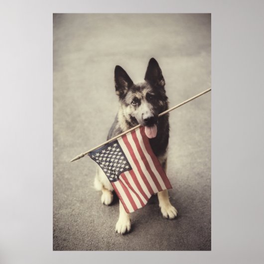 ドイツ国旗を持つ羊飼い ポスター (正面)