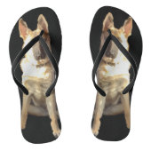 ドイツ威厳のあるの羊飼いビーチサンダル ビーチサンダル (ソール)