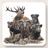 ドイツ狩りテリア コースター (正面)