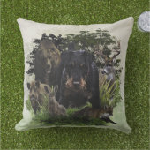 ドイツ狩りテリア(ジャグテリア) アウトドアクッション (芝生)