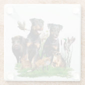 ドイツ狩りテリア（ジャグテリア） ガラスコースター (裏面)