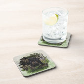 ドイツ狩りテリア（ジャグテリア） コースター (右側)