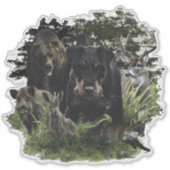 ドイツ狩りテリア（ジャグテリア） シール (正面)