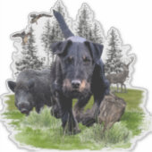 ドイツ狩りテリア（ジャグテリア） シール (正面)