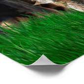 ドイツ狩りテリア（ジャグテリア） ポスター (角)