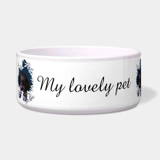 ドイツ産ショートヘアードポインター、ユーモアのある顔のバンダナ ボウル (左)