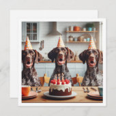 ドイツ短剣ポインタ、犬の誕生日 招待状 (正面/裏面)