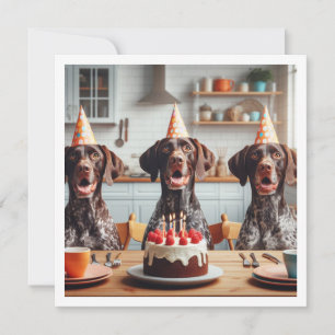 ドイツ短剣ポインタ、犬の誕生日 招待状