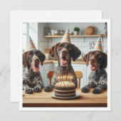 ドイツ短剣ポインタ、犬の誕生日 招待状 (正面/裏面)