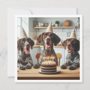 ドイツ短剣ポインタ、犬の誕生日 招待状