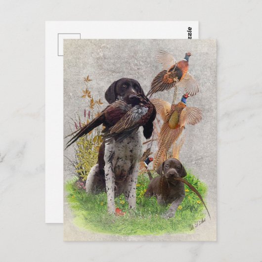 ドイツ短剣ポインタ(GSP)木製ボックス記号 ポストカード (正面/裏面)